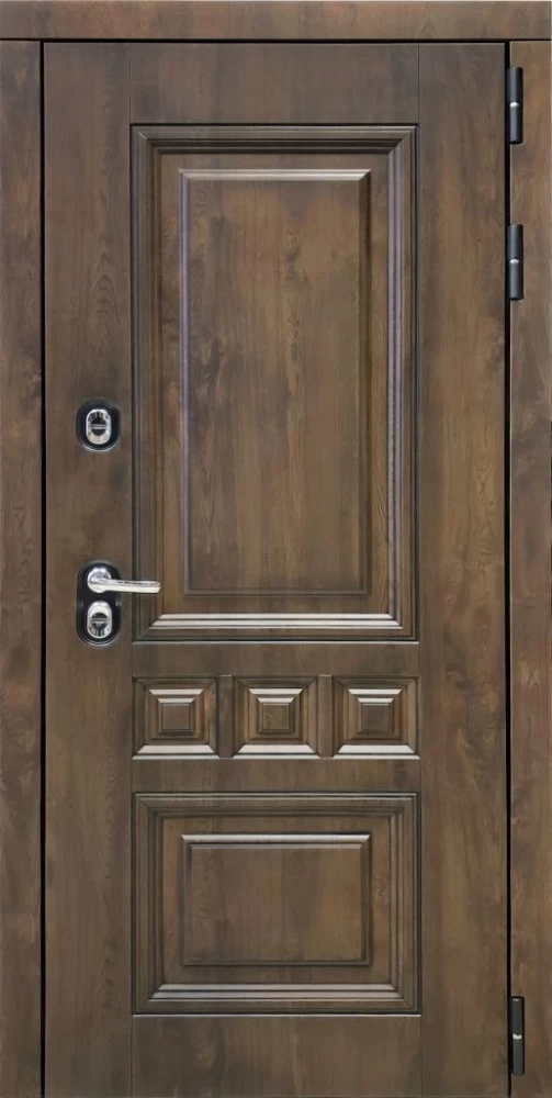 Входная дверь ДвериПРО Аура Без фрезеровки Дуб арктик горизонт DPRO196711 внешняя сторона